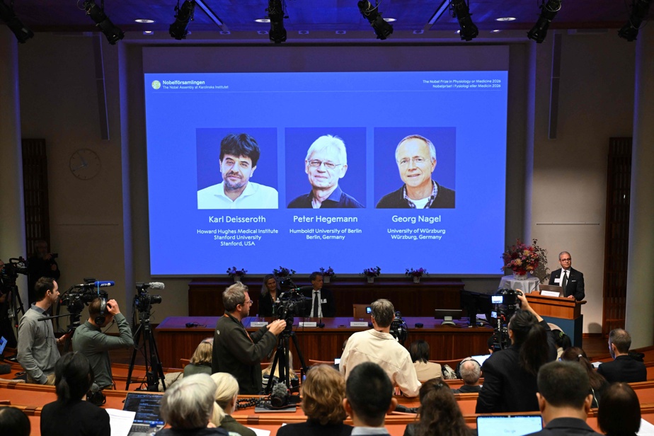 Prix Nobel de médecine | Un trio américano-allemand récompensé pour des travaux sur les mystères du cerveau