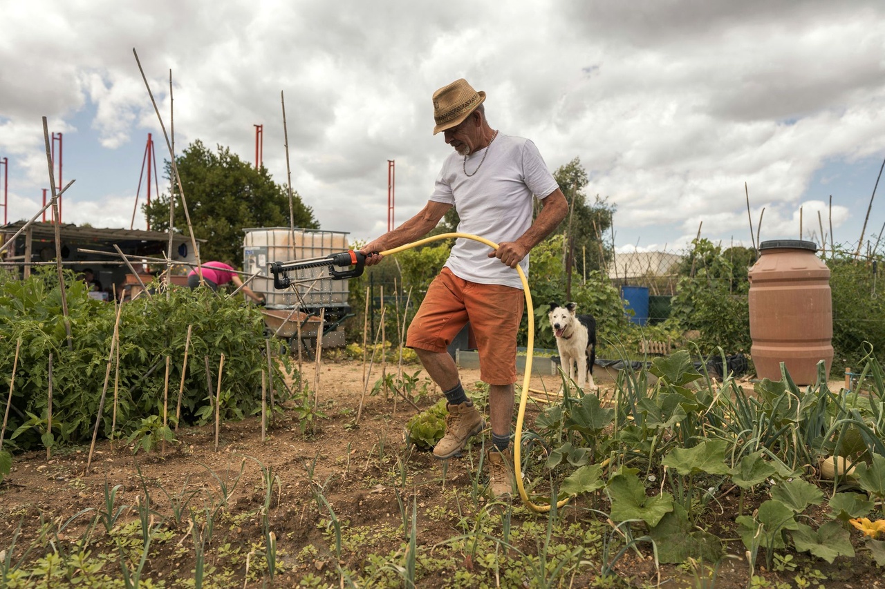 « Crise agricole : nourrir l’humanité exige une révolution intérieure »