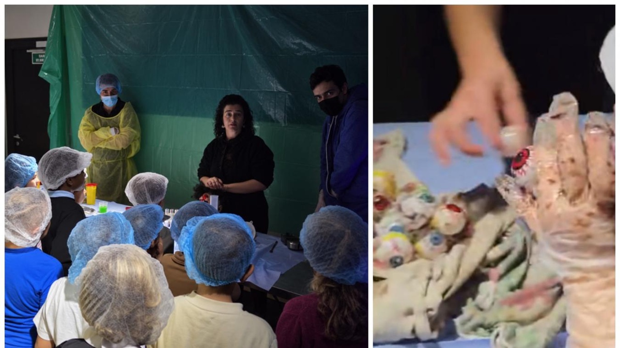 Son escape game d’Halloween jugé… trop « gore » à Saint-Vaast : « Le plus terrifiant, ce sont les réactions des adultes ! »