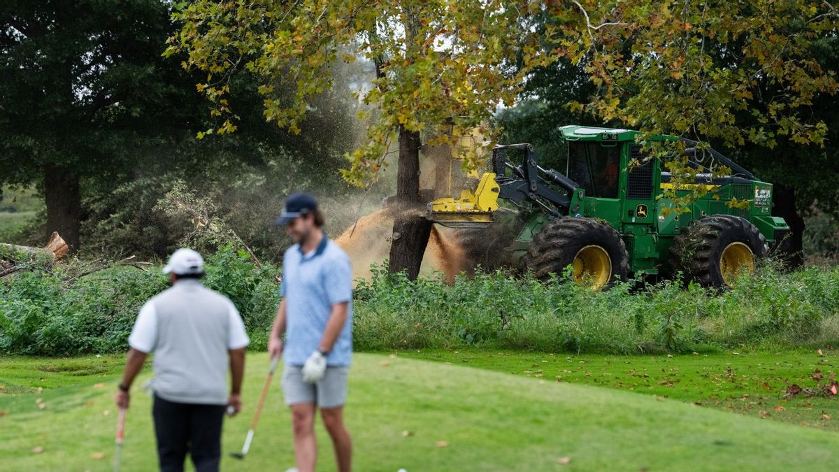 Trump admin cut down 430 trees at DC golf course renovation site, court docs confirm