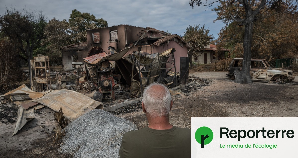 Le coût des incendies en France évalué à près de 500 millions d'euros