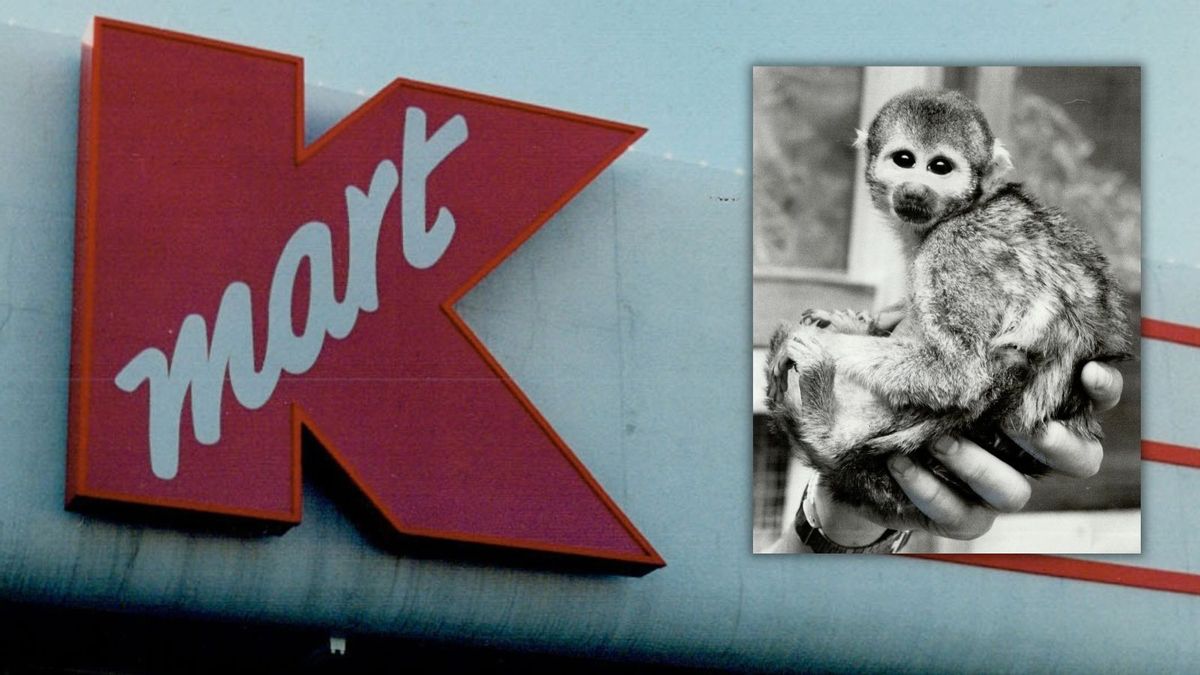Kmart used to sell pet monkeys in the 1960s. It wasn't alone