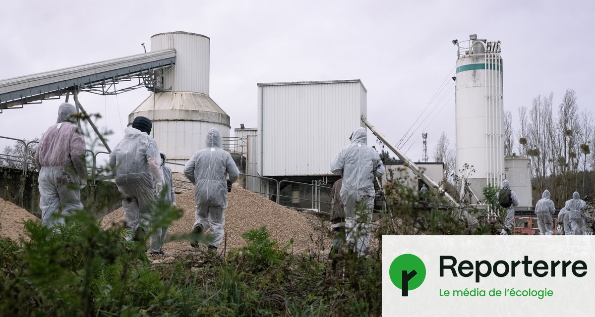 Intrusion chez Lafarge : les militants écologistes condamnés à de la prison avec sursis