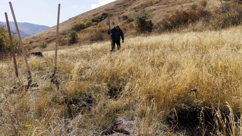 Après les incendies de l’été, une nouvelle forêt belge est plantée… en Arménie