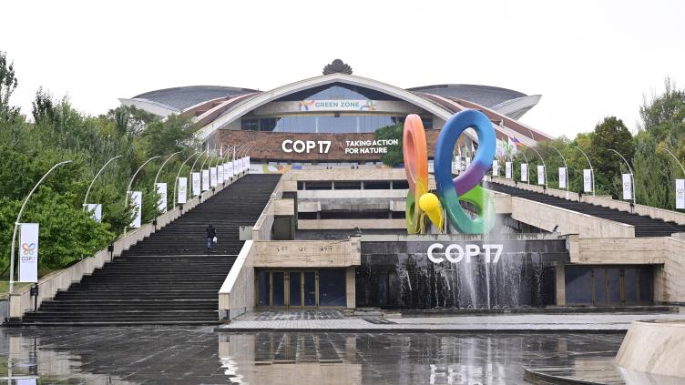 A la COP17, les États sommés de rectifier le tir sur leurs engagement pour la nature