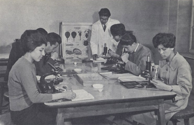 Université de Kaboul