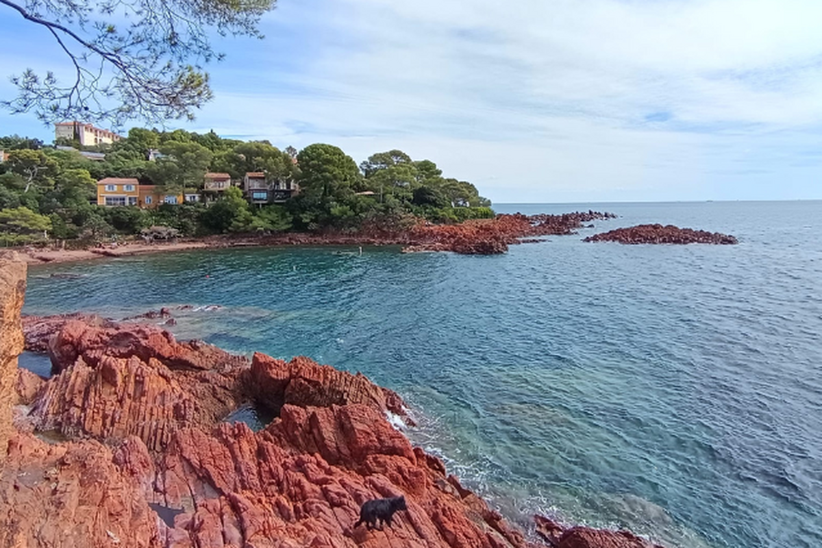Une chute avec sa petite sœur depuis un sentier du littoral : ce que l’on sait sur la mort d’une jeune fille de 17 ans après une noyade sur une plage à Saint-Raphaël