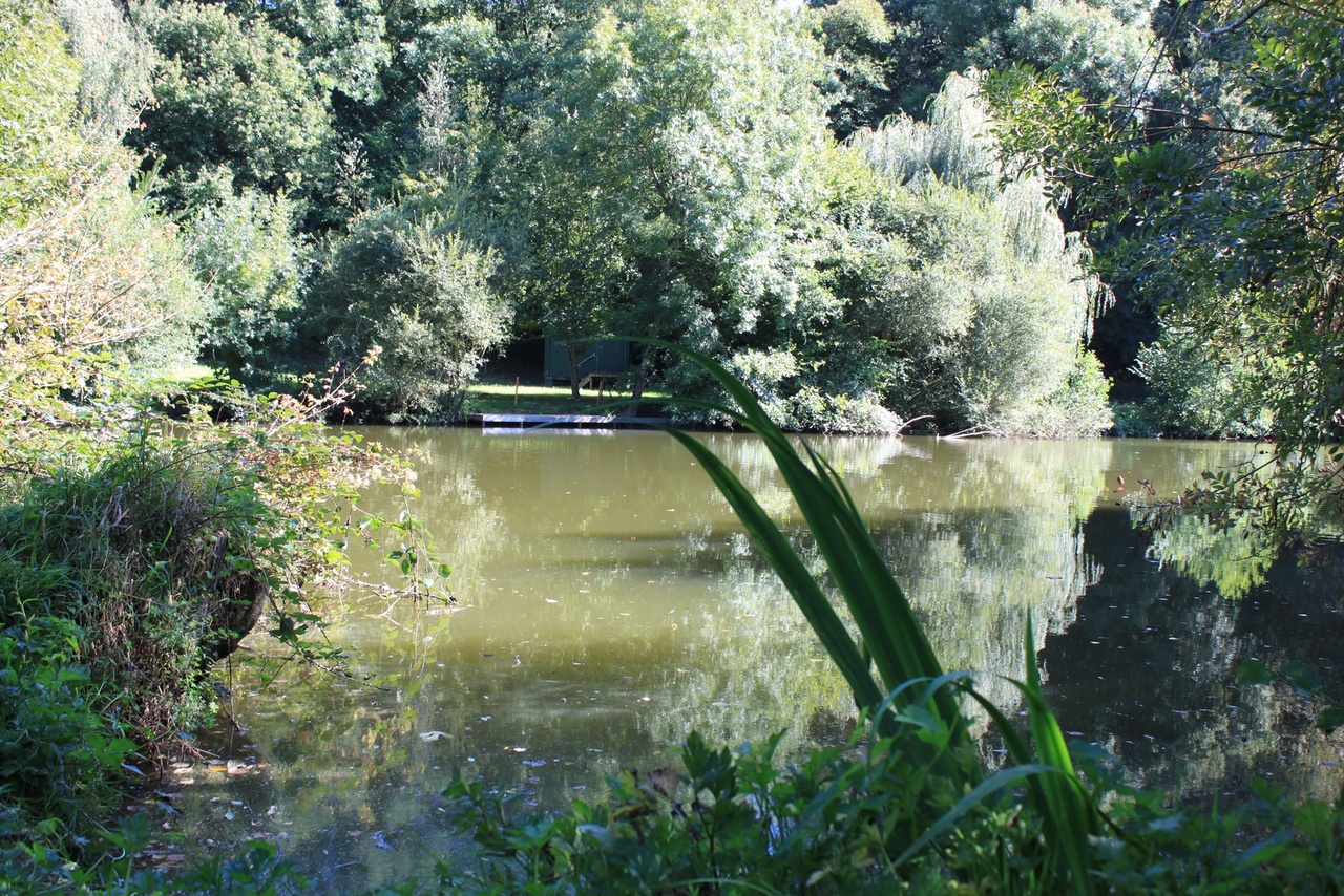 Fleuve côtier