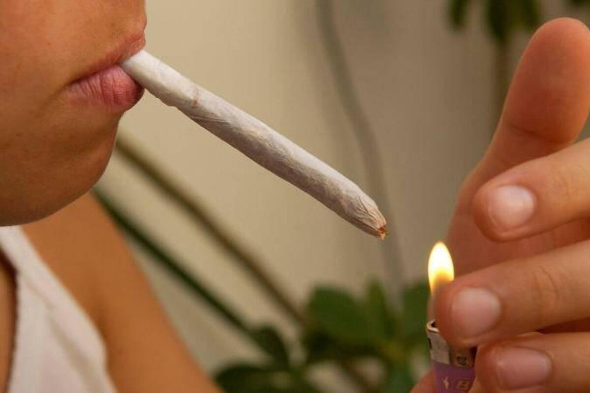 Un trafic de cannabis démantelé à Puget-Théniers : un couple condamné à seize mois de prison, dont douze avec sursis