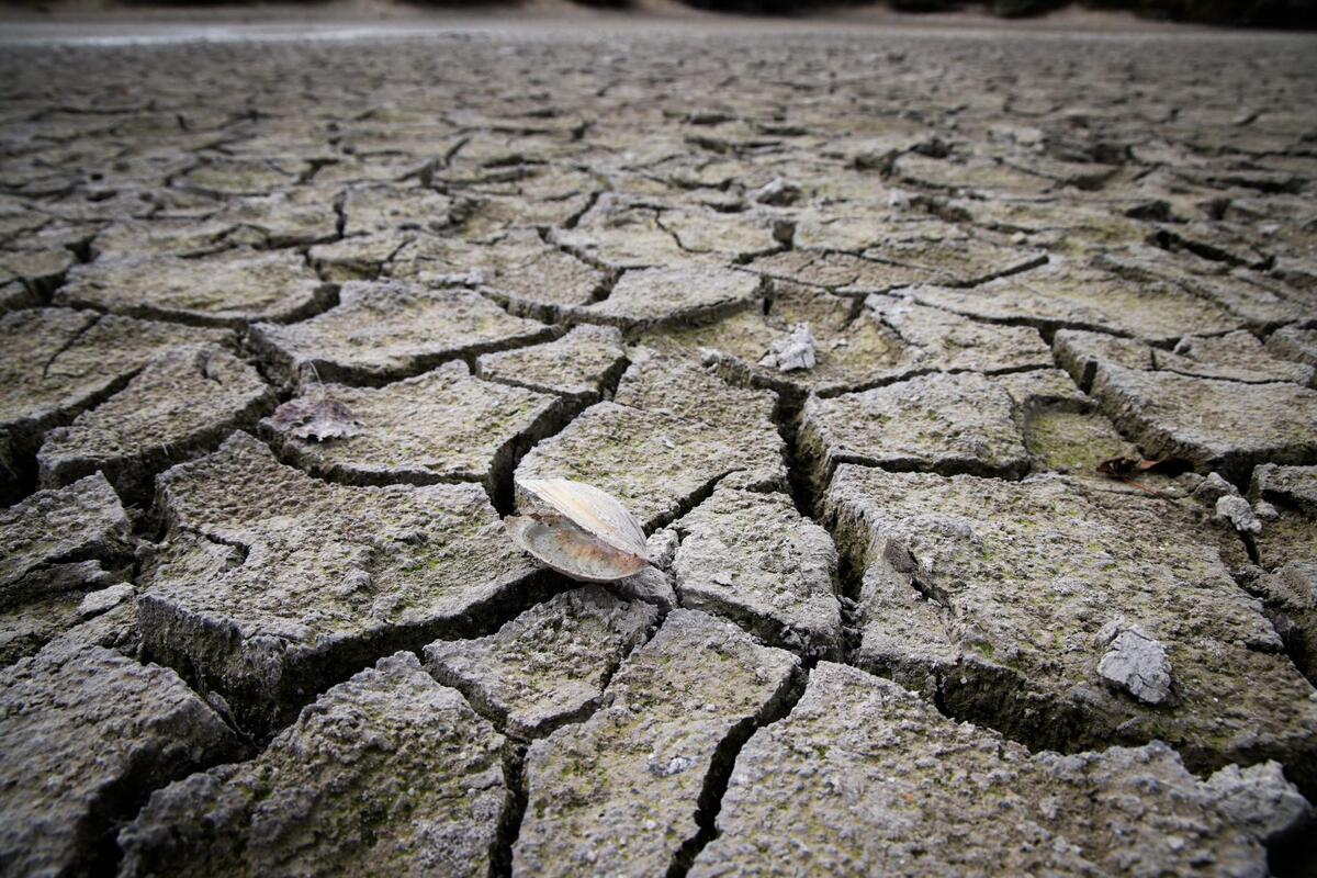 Climat : le monde vers un réchauffement de 2,6 °C, mais il est encore temps d’agir selon l’ONU