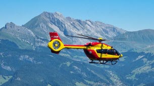 Haute-Savoie. Piquée par des guêpes à 20 reprises, une randonneuse évacuée en urgence par les airs