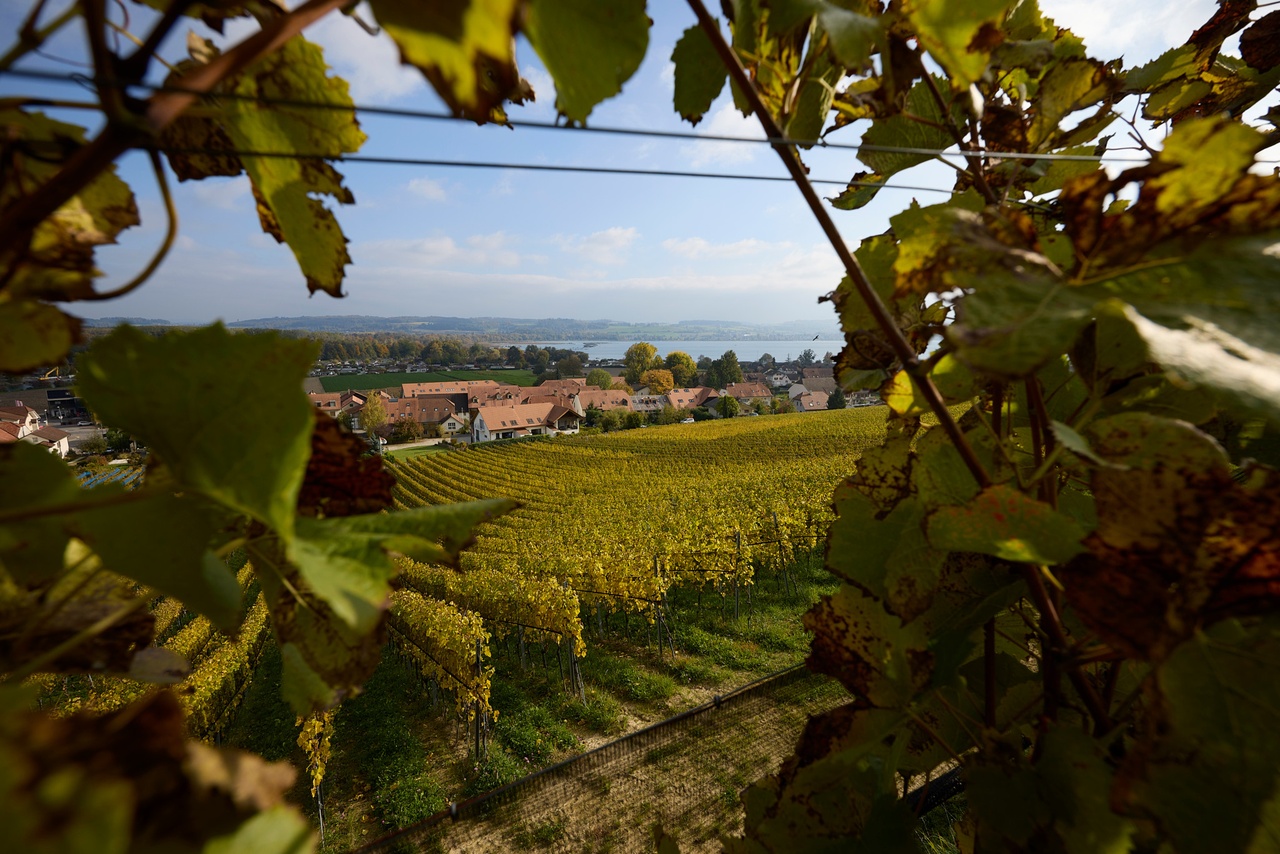 Météo du jour: Un jeudi sec et lumineux avant un vendredi très agité