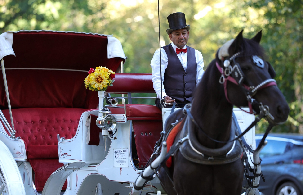 Bien-être animal: New York interdira les calèches de Central Park dès juin 2028