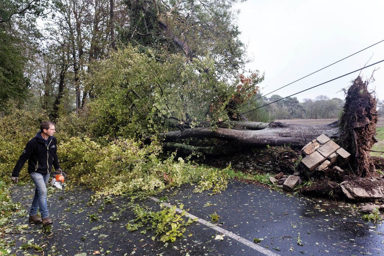 Coupures de courant: La tempête «Austen» prive près de 300’000 foyers d’électricité en France
