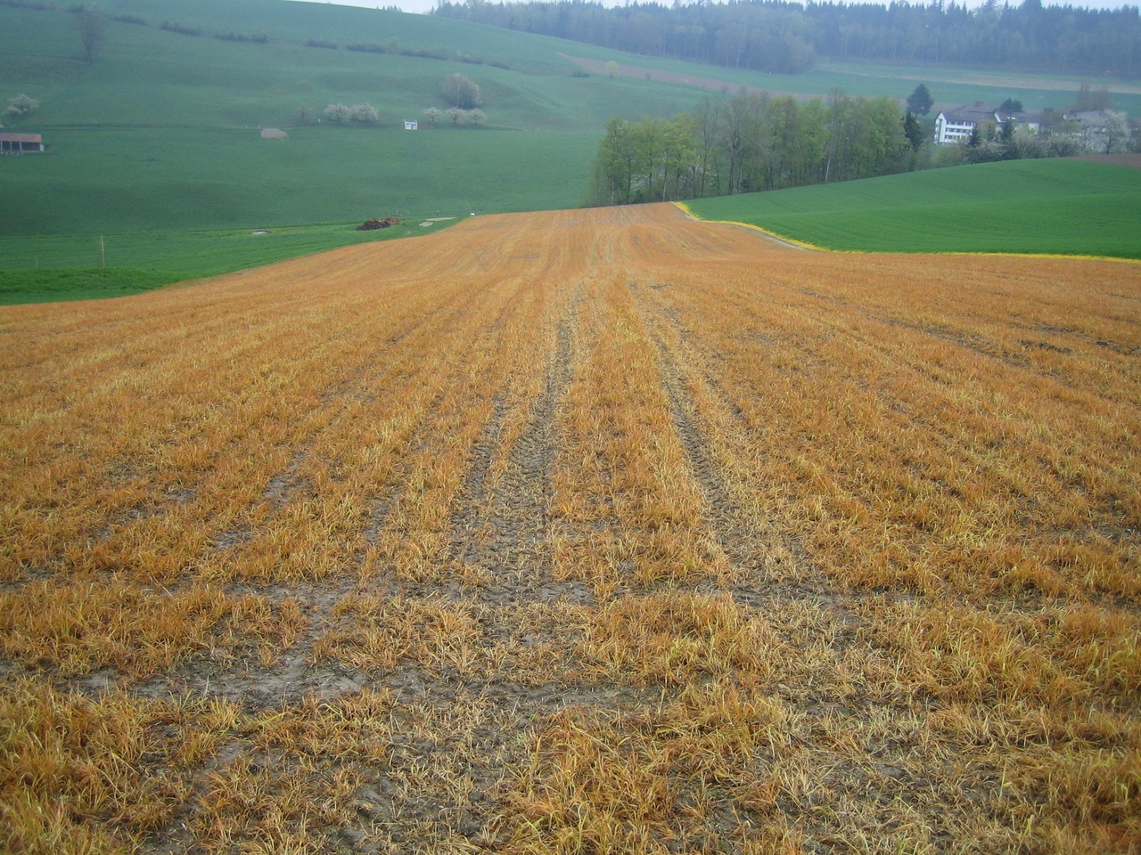 Herbicide