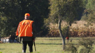 Environnement. Ouverture de la chasse : comment l’été caniculaire ravive le débat avec les écologistes