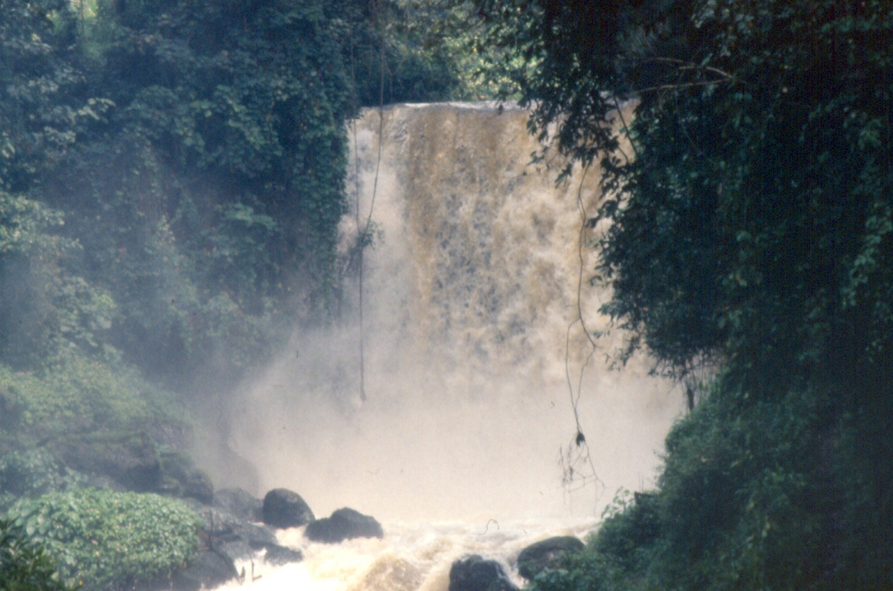 Parc national des Virunga
