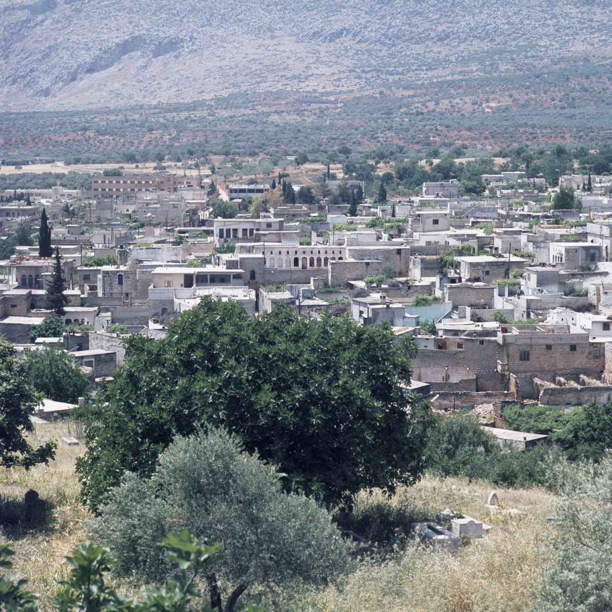Idlib