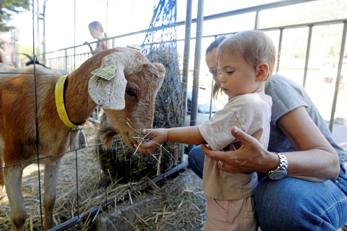 Fête agricole de Sospel : connaissez-vous les produits phares de ces cinq producteurs et artisans ?
