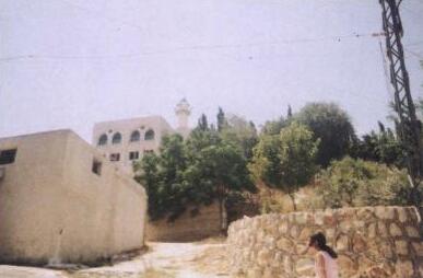 Meiss El Jabal