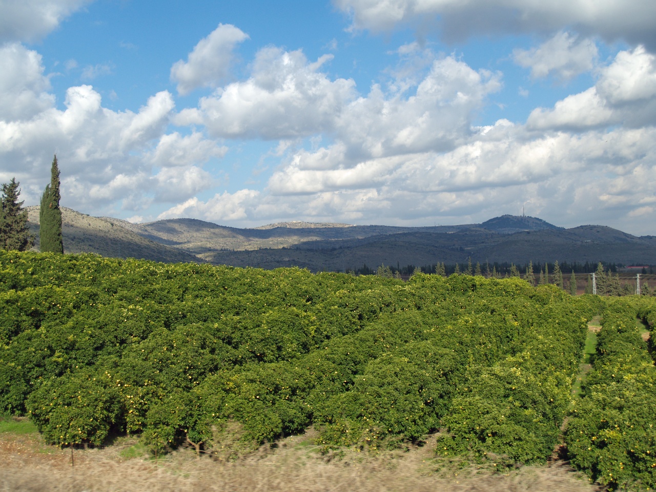 Galilée (région)