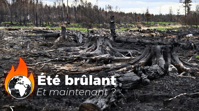 Incendie des Hautes-Fagnes : quel est le vrai coût de l'impréparation climatique de la Belgique ?