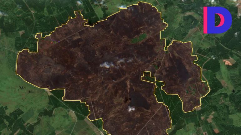 Bilan des incendies en Europe : des surfaces brûlées qui battent tous les records, avec quelles conséquences sur la santé ?