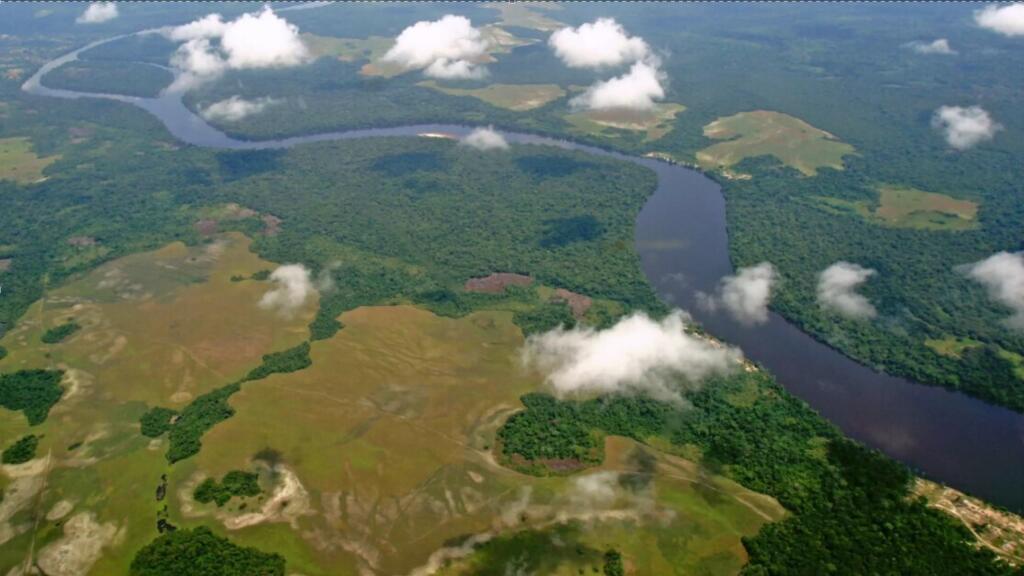 RDC: une tour à flux pour mesurer la «respiration» des forêts du Miombo