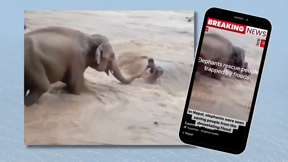 Does video show elephant rescuing man from Nepal floods?