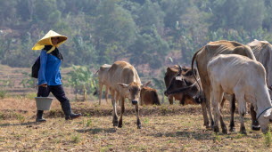 Climat. « Un impact planétaire » : comment le phénomène El Niño menace de faire flamber les températures