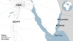 Bus crash on Egypt's Red Sea coast kills 16