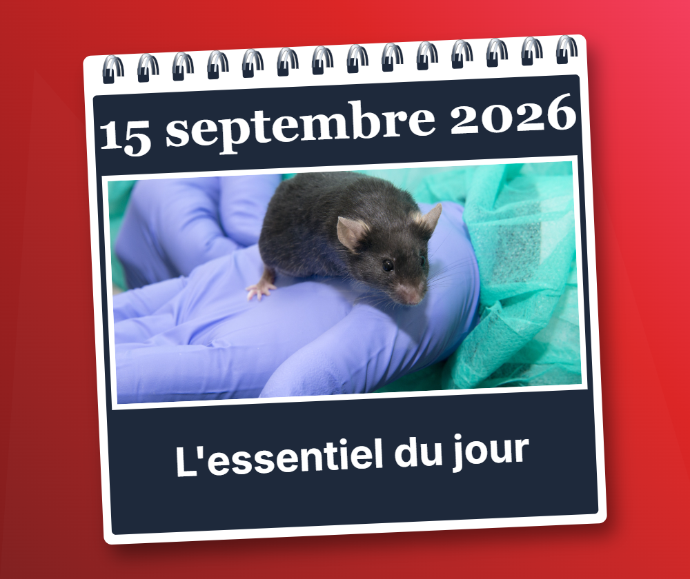 Mardi 15 septembre 2026: L’essentiel du jour