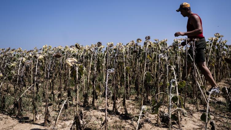 L'ONU appelle le monde à faire face à la "réalité" d'un dépassement du réchauffement au-delà de 1,5°C