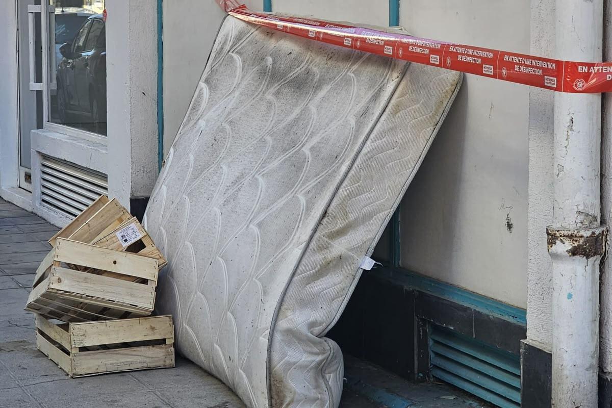Punaises de lit sur les trottoirs : l’opposition de gauche-écologiste réclame un protocole d’urgence pour évacuer les matelas infestés à Nice