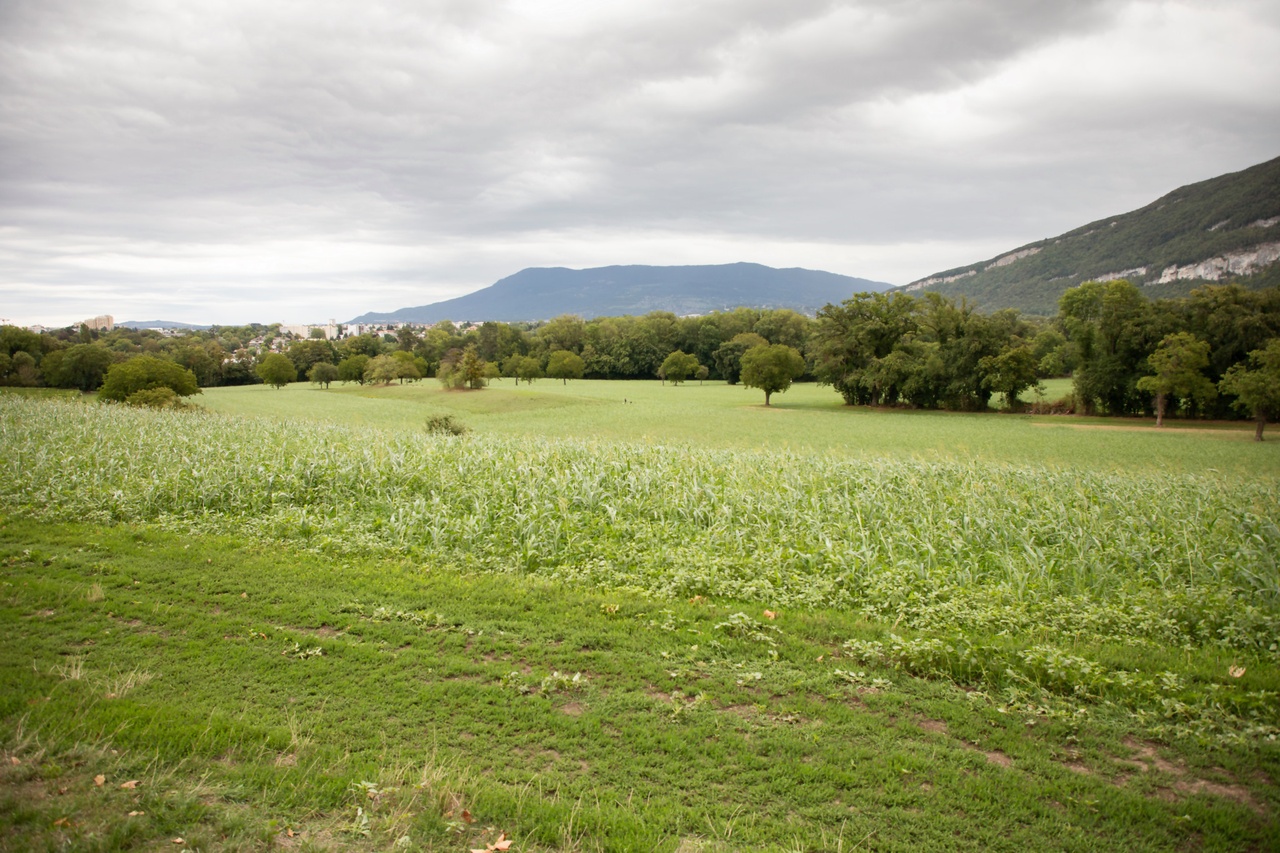 Aménagement à Veyrier: Déclasser des terres agricoles pour préserver le Vallon de Sierne