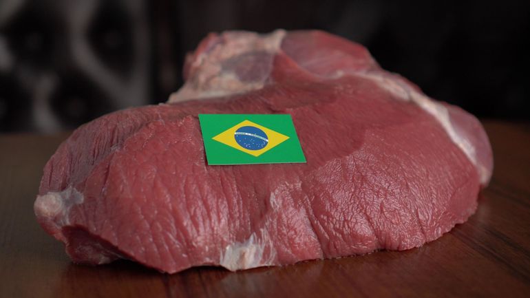 Viande, œufs, miel : l’UE suspend les importations brésiliennes dès jeudi