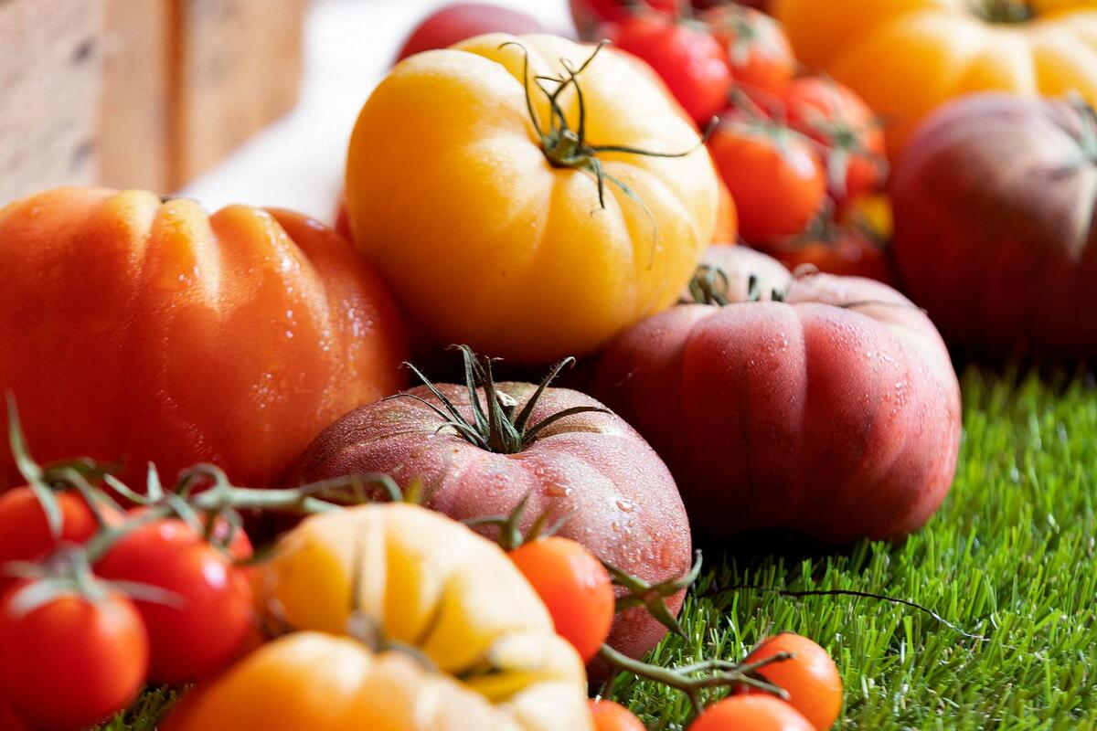 Vendus chez Leclerc et Intermarché, des légumes contaminés aux pesticides rappelés partout en France