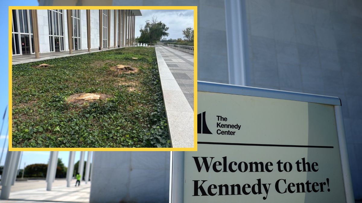Did Trump order weeping willows be cut down outside Kennedy Center?