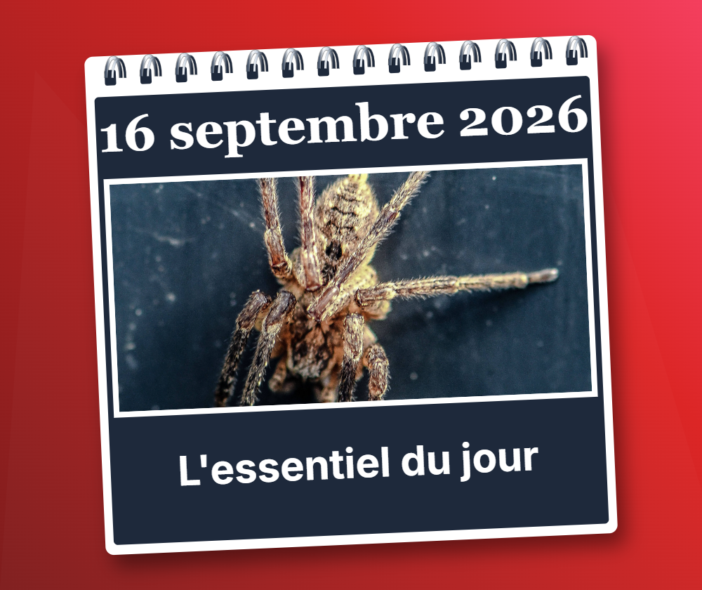 Mercredi 16 septembre 2026: L’essentiel du jour