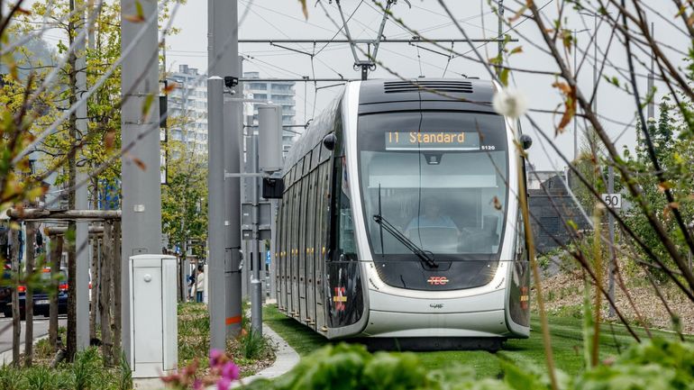 Tram de Liège : la Cour des Comptes pointe un coût de 1,3 milliard et plusieurs faiblesses