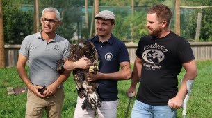 Haute-Savoie. Ce chasseur isérois avait abattu le pygargue Morzine : « La plus grosse bêtise de toute ma vie »