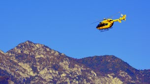 Montagne. « C’est un véritable miracle » : perdue pendant cinq jours dans les Alpes, la septuagénaire Anna survit en mangeant des myrtilles