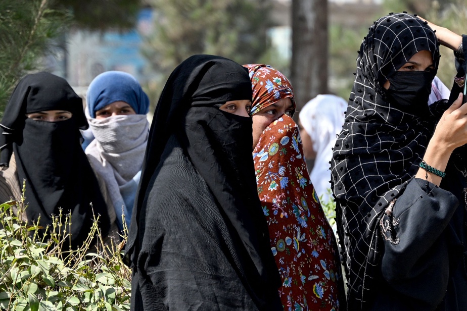 Canada | Des cours virtuels servent de bouées de sauvetage aux femmes afghanes