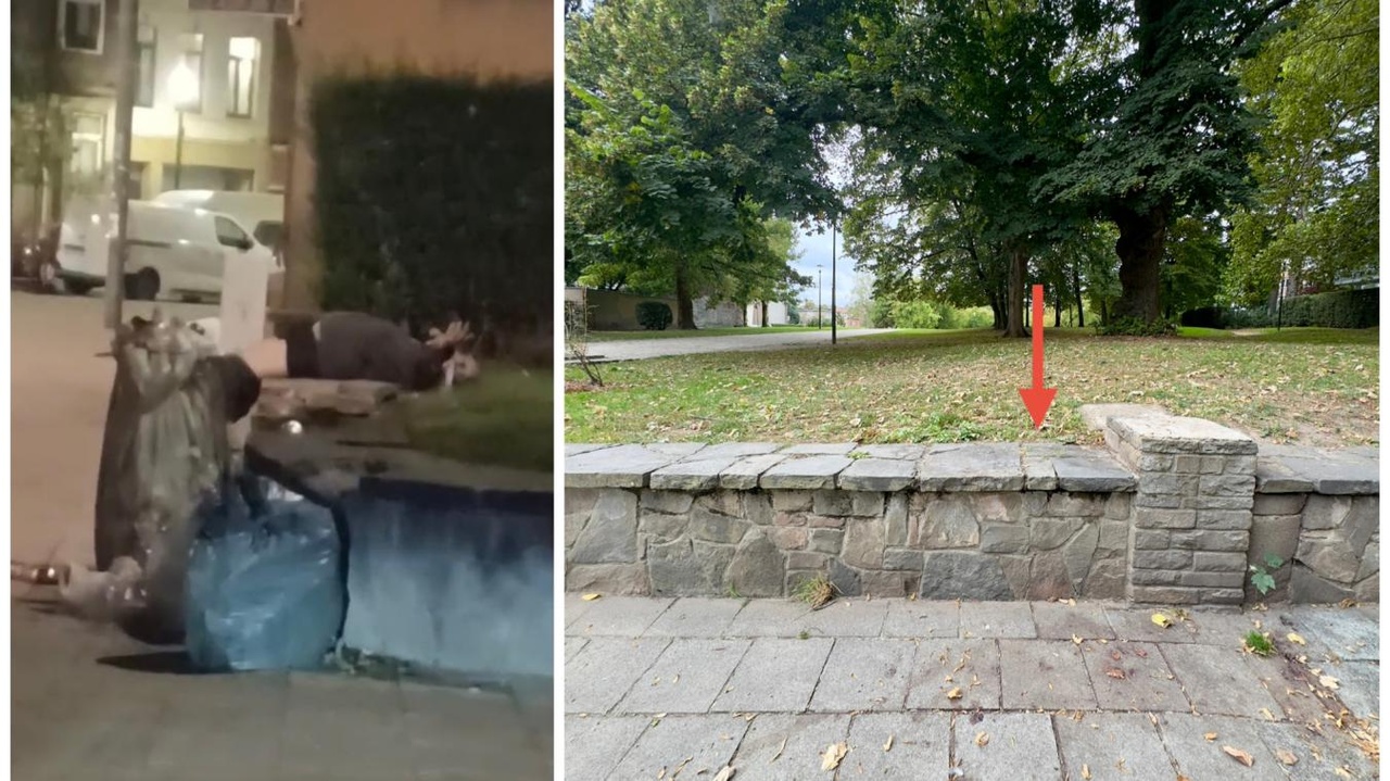 « Ce n’est pas parce qu’on est fou qu’on tue » : Moussa poignardé à mort dans le parc du Busselenberg, à Anderlecht, son meurtrier présumé résidait dans un foyer psychiatrique situé à deux pas