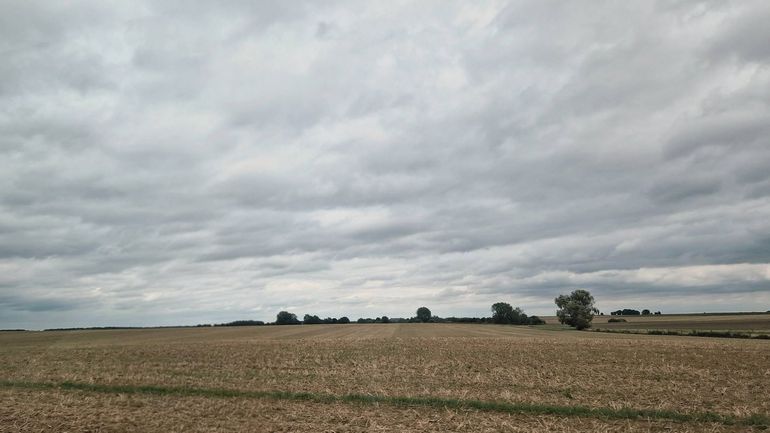 Météo en Belgique : nuageux et assez venteux aujourd’hui, week-end très ensoleillé