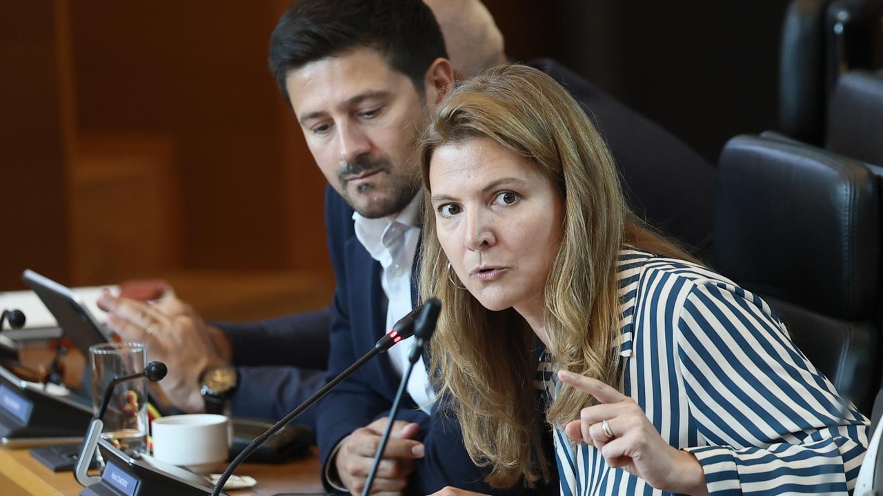 Diana Nikolic veut mettre sur le même pied les deux extrêmes : « Il faut enseigner les dérives de l’extrême gauche, c’est une question de cohérence »