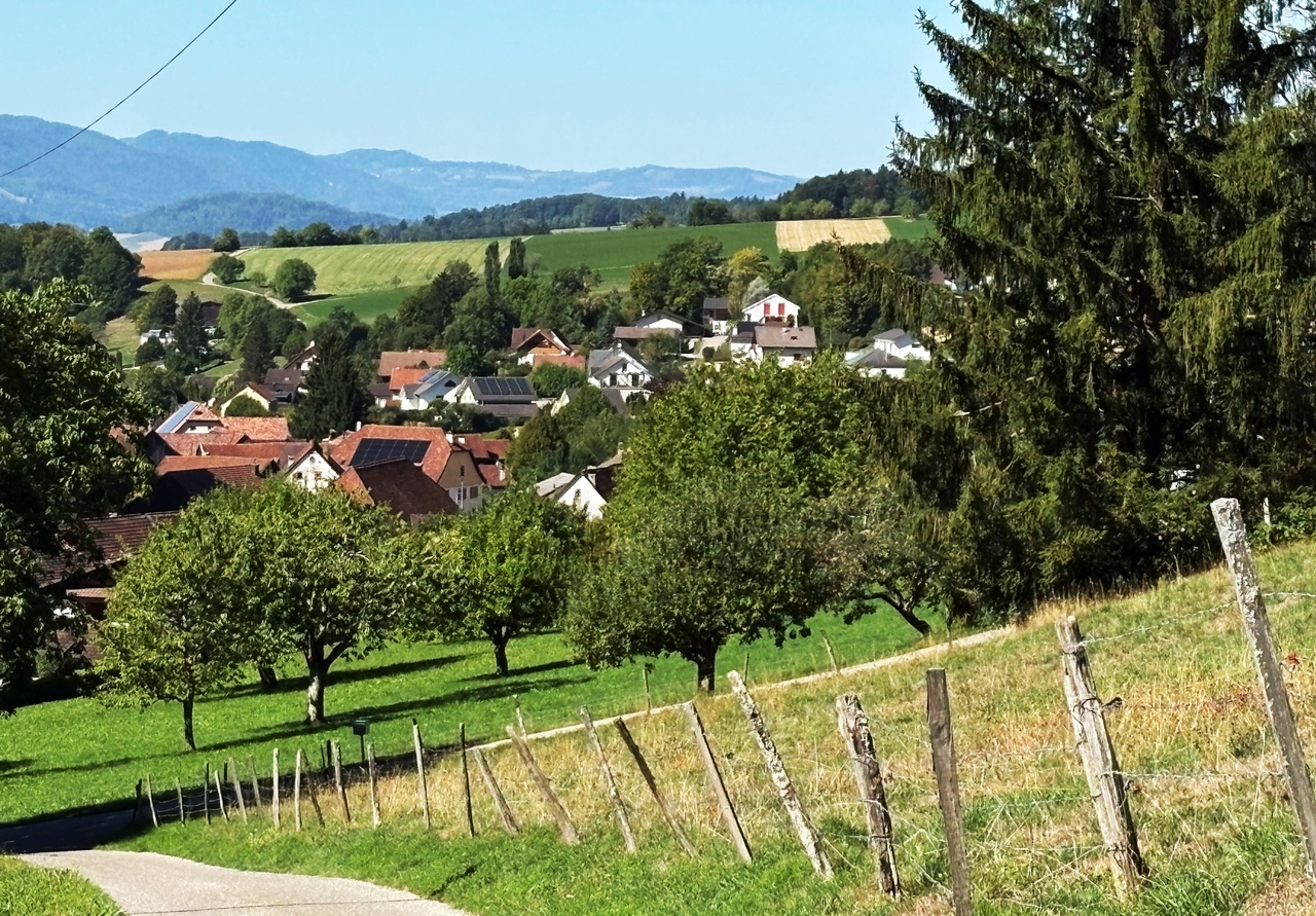 Fusillade à Aarau: Le profil du tireur présumé se précise