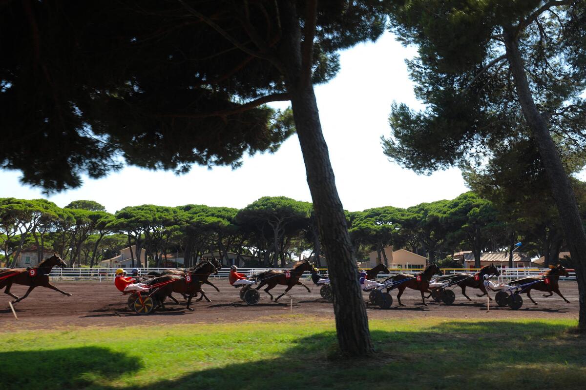 Sept courses, animations gratuites, voiture suiveuse... L’hippodrome de Hyères dévoile son programme pour la réunion de samedi (et on vous donne même des pronos)