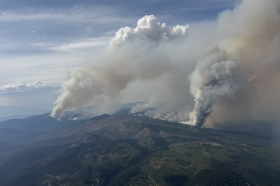 Études américaines | La pollution des incendies de forêt serait plus dangereuse pour la santé