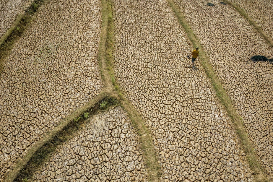 El Niño | Face à un phénomène « d’une ampleur sans précédent »